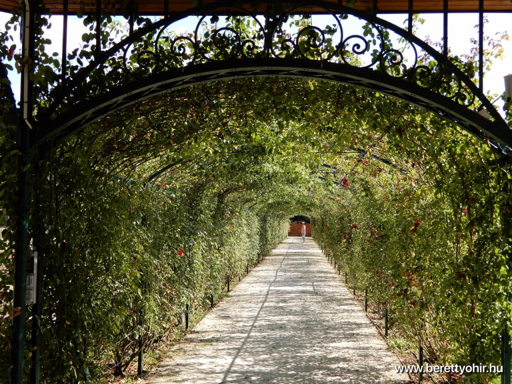 berettyóújfalu az esterházy barokk ételfőző fesztiválon 37